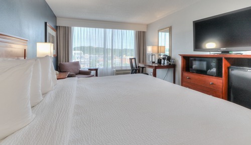 Deluxe King with Sleeper Sofa