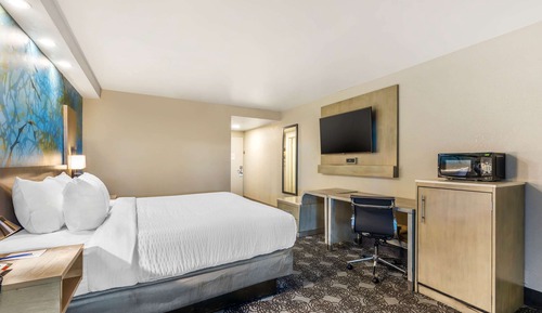 Habitación estándar, 1 cama de matrimonio grande, no fumadores