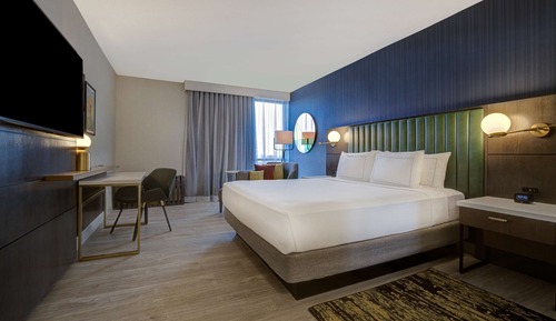 Suite estudio, 1 cama de matrimonio grande (Roll-In Shower, Mobility/Hearing)