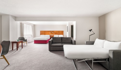 Suite, 1 cama de matrimonio grande con sofá cama