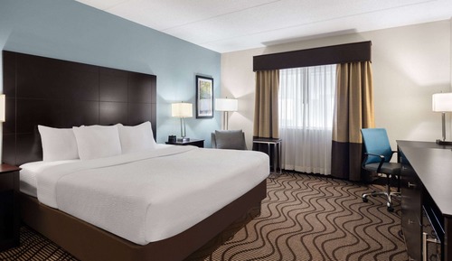 Habitación, 1 cama de matrimonio grande, no fumadores (Pet-Friendly)