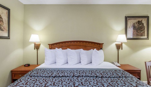 Habitación estándar, 1 cama de matrimonio grande, no fumadores