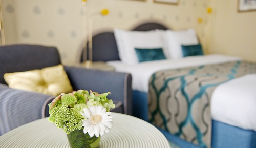 Habitación Deluxe, 1 cama de matrimonio