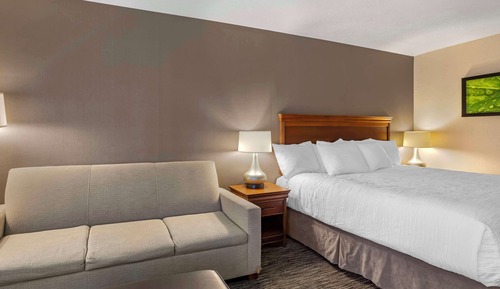 Habitación estándar, 1 cama de matrimonio grande, microondas (with Sofabed)