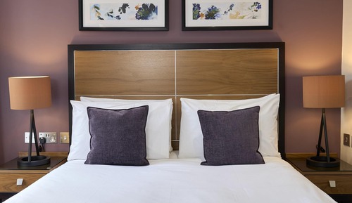 Habitación ejecutiva, 1 cama doble