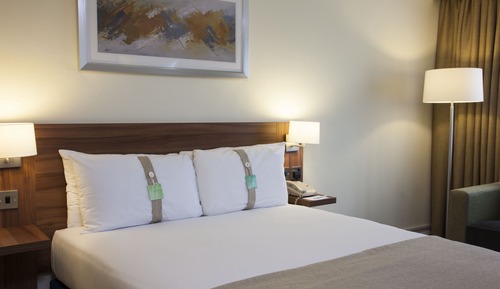 Habitación Premium, 1 cama doble con sofá cama