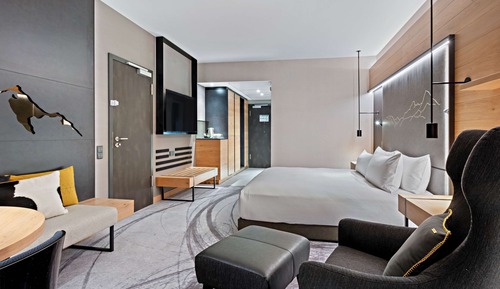 Habitación, 1 cama de matrimonio grande