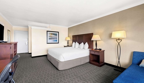 Habitación estándar, 1 cama de matrimonio grande, frigorífico, vistas al mar