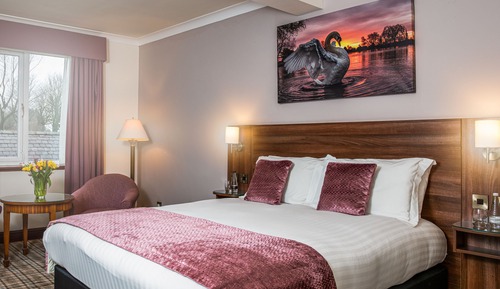 Habitación ejecutiva con 1 cama doble o 2 individuales