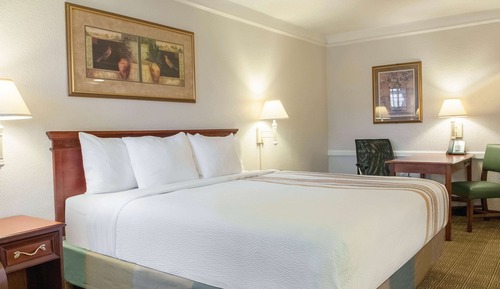 Habitación Deluxe, 1 cama de matrimonio grande, no fumadores