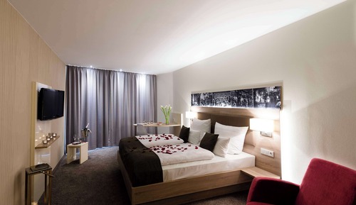 Habitación Premium, 1 cama doble