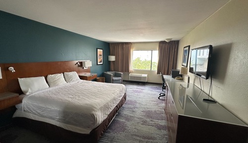 Habitación básica, 1 cama de matrimonio grande