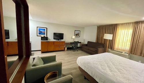 Habitación básica, 1 cama de matrimonio grande