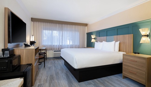 Habitación estándar, 1 cama de matrimonio grande