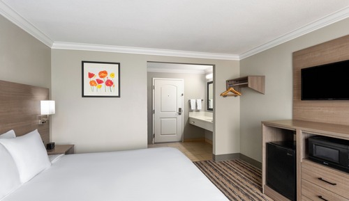 Habitación estándar, 1 cama de matrimonio grande