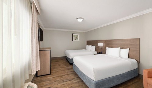 Suite, varias camas, no fumadores