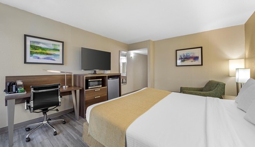 Habitación estándar, 1 cama de matrimonio grande, fumadores, microondas