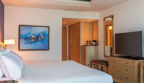 Habitación, 1 cama de matrimonio grande, accesible para personas con discapacidad (Roll-in Shower)