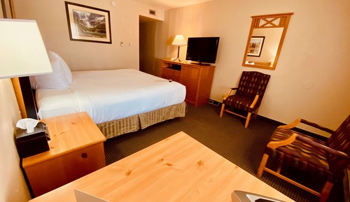 Habitación estándar, 1 cama de matrimonio grande, no fumadores (Pet Friendly)