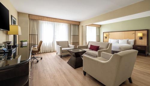 Suite junior, 1 cama de matrimonio grande (Junior King Suite)