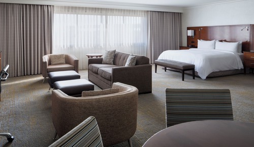 Suite junior, 1 cama de matrimonio grande con sofá cama