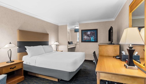 Habitación estándar, 1 cama de matrimonio, accesible para personas con discapacidad, bañera