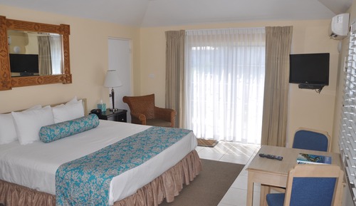 Habitación estándar, 1 cama de matrimonio grande, vistas al jardín