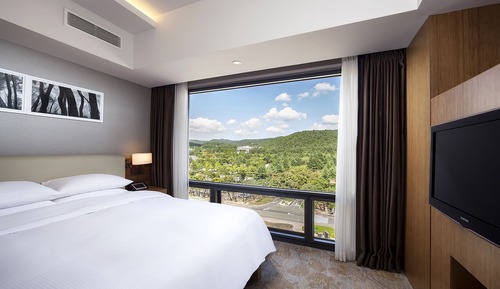 Suite junior, 1 cama de matrimonio grande (Maple)