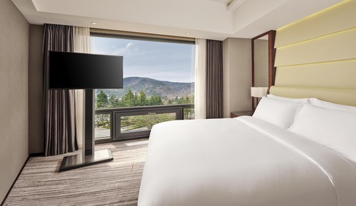 Suite Deluxe, 1 cama de matrimonio grande (Residential)