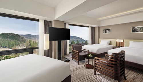 Suite Deluxe, varias camas (Deluxe)