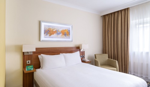 Habitación estándar, 1 cama doble