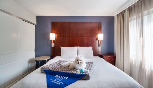 Suite estudio, 1 cama de matrimonio grande con sofá cama (Hearing)