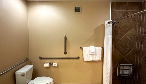 Habitación ejecutiva, 1 cama de matrimonio