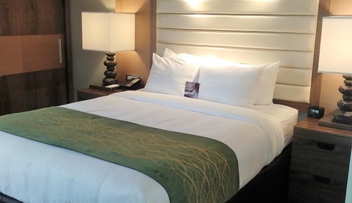 Habitación estándar, 1 cama de matrimonio, accesible para personas con discapacidad, no fumadores