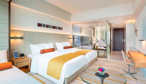 Habitación Deluxe con 2 camas individuales (Club)