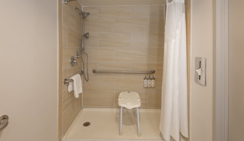 Habitación estándar, 1 cama de matrimonio, accesible para personas con discapacidad (Roll-In Shower)