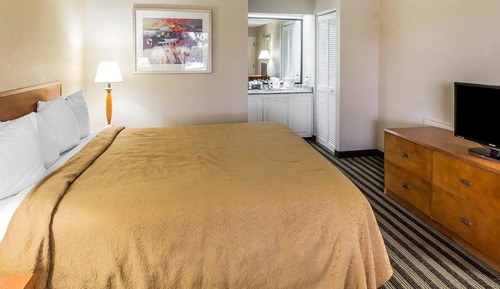 Habitación estándar, 1 cama de matrimonio grande, no fumadores