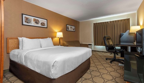 Comfort Care, Habitación Deluxe, 1 cama de matrimonio con sofá cama, frigorífico y microondas