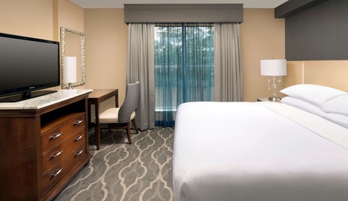 Habitación Premium, 1 cama de matrimonio grande (Mobility & Hearing, Roll-in Shower)