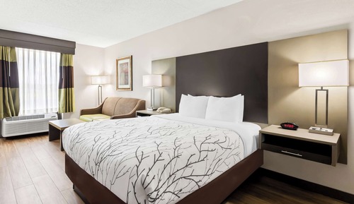 Habitación estándar, 1 cama de matrimonio, accesible para personas con discapacidad, bañera