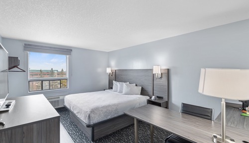 Habitación estándar, 1 cama de matrimonio grande, no fumadores