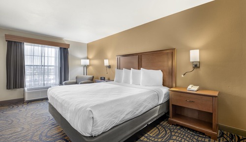 Habitación estándar, 1 cama de matrimonio grande, no fumadores, frigorífico y microondas