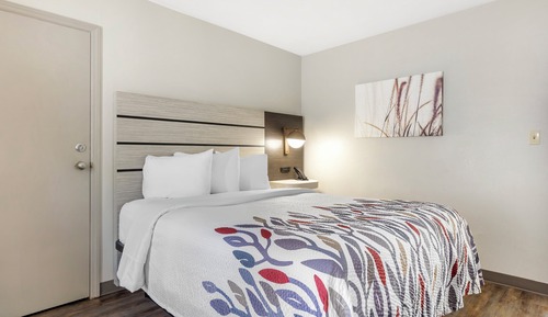 Habitación Deluxe, 1 cama de matrimonio grande, no fumadores (Roll-In Shower)