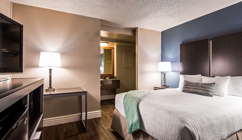 Non-Pet, 1 King Bed, Balcony, River View, Oversized Room