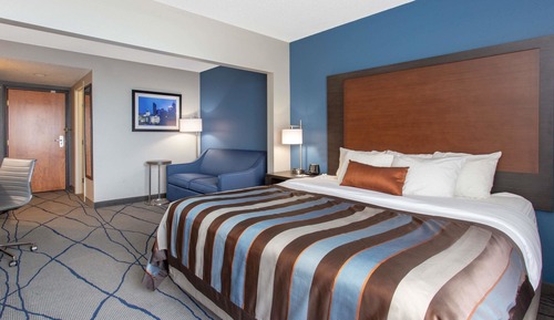 Habitación estándar, 1 cama de matrimonio grande