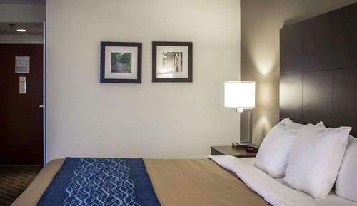 Habitación estándar, 1 cama de matrimonio grande, no fumadores