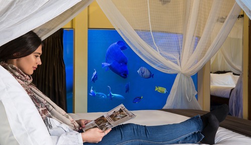 Luxury Reef Room (Check in by 2:30pm)