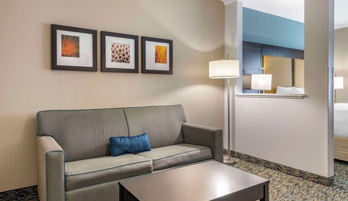 Suite, 1 cama de matrimonio grande con sofá cama, accesible para personas con discapacidad