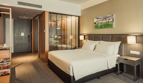 Estudio, 1 cama de matrimonio grande