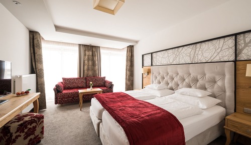 Habitación Deluxe doble, vistas a la montaña